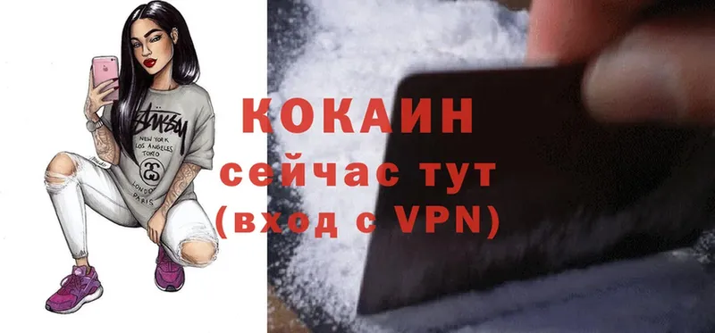 как найти   Советская Гавань  COCAIN FishScale 