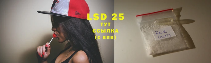 MESCALINE Пионерский