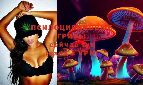 jwh Пестово