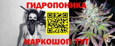 мяу мяу мука Гай