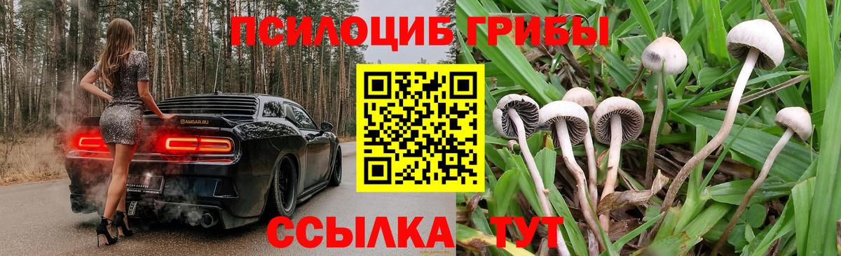 Меф Советская Гавань