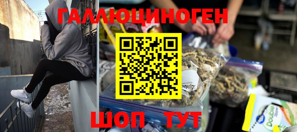 Советская Гавань  Псилоцибиновые грибы прущие грибы  Вход с VPN 